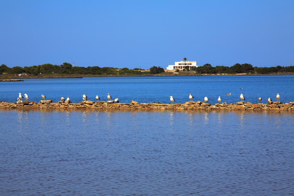 Appartamento Cas Saliners - Sa Revista By Formentera Mar La Savina  Esterno foto